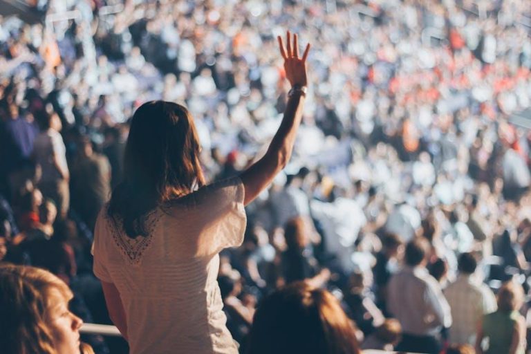 Concert Fan Experiences