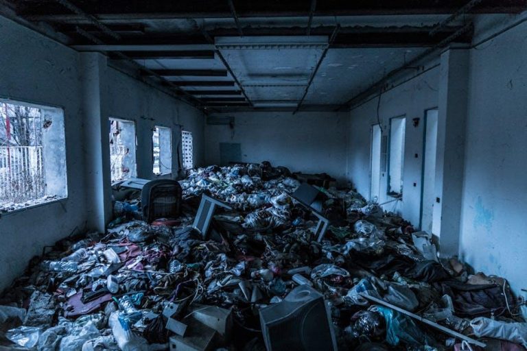 Environmental Impact of Concerts