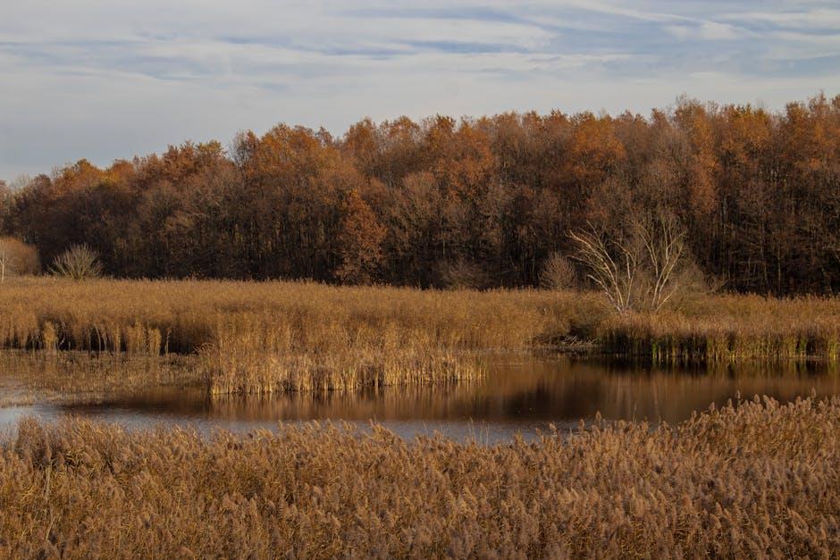 Identifying Key Factors That Influence Seasonal Shifts