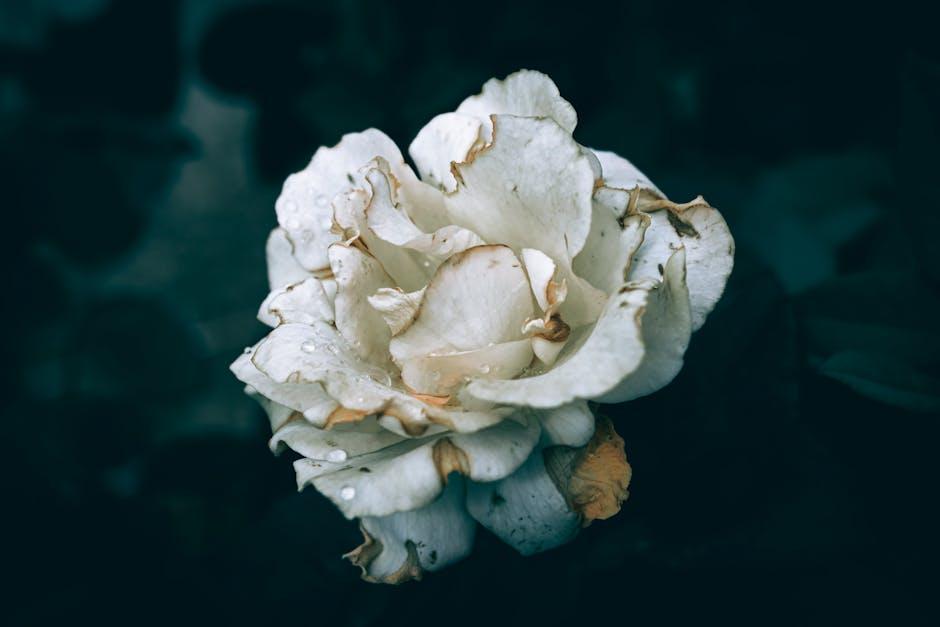 Artists to Watch in the Next Wave of Releases