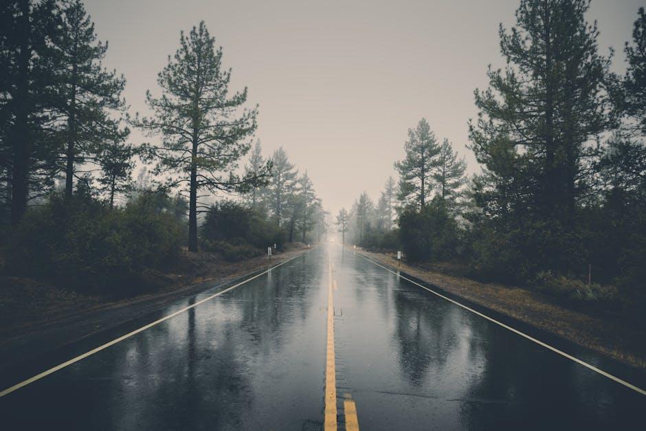 Upbeat Anthems to Keep You Energized on Long Drives