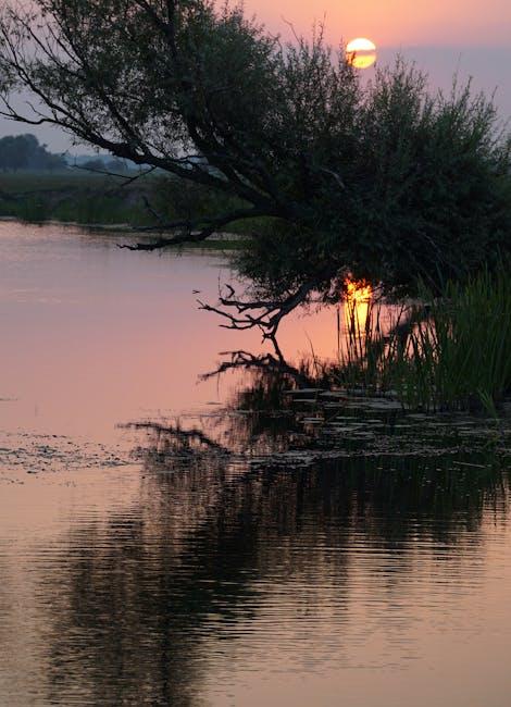 Underrated Tracks to Discover and Share with Fellow Travelers