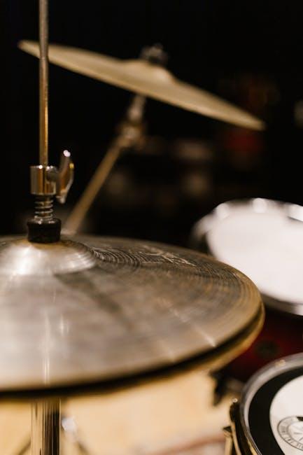 Essential Gear and Comfort Tips for Long Shows