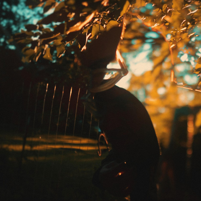 Dellwood Explores Shadow and Solitude On New Single ‘The Animals’ Dellwood Explores Shadow and Solitude On New Single ‘The Animals’