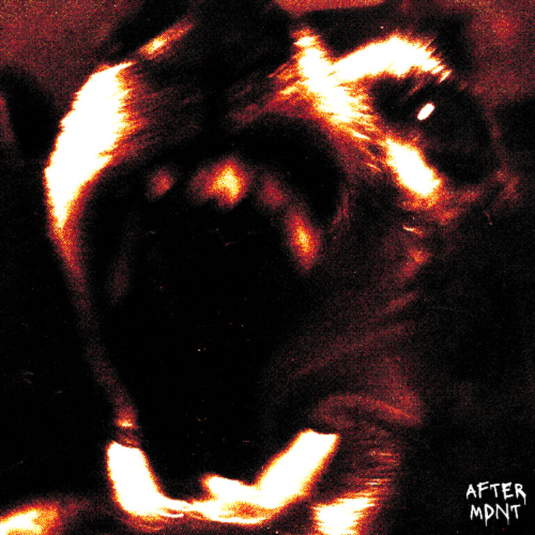 Brandon Kai – WHO IS YOU